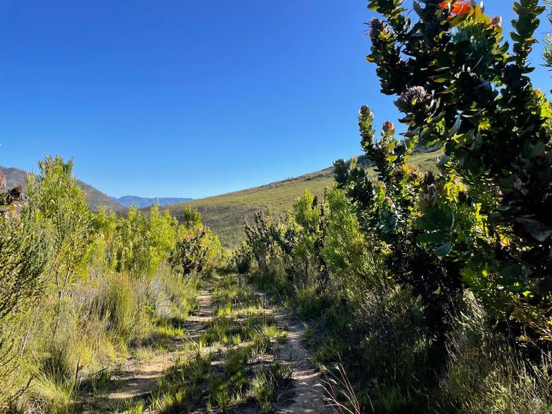 0 Bedroom Property for Sale in Tsitsikamma Eastern Cape